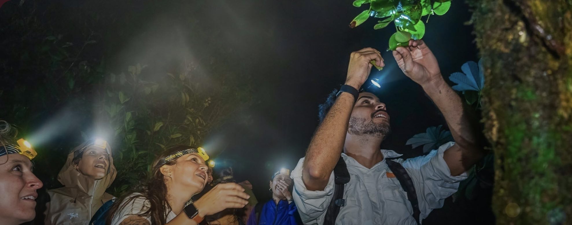 Territorios vivos — image 1